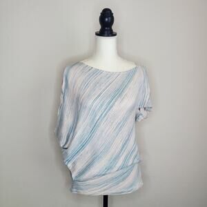 Anthropologie Blue Striped Top Small